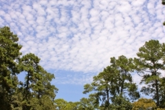 201410171506240.IMG_0921
