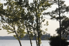 201410171506240.IMG_9903